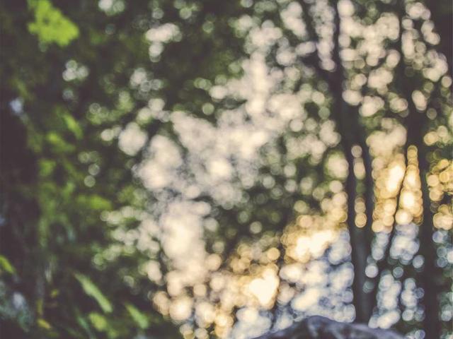 Verkaufsberaterin Mode - Globus - La Chaux-de-Fonds