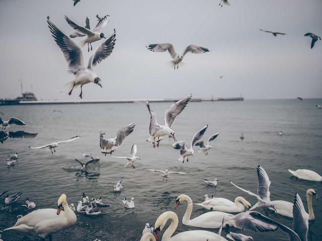 Verkaufsberaterin Mode - Globus Fribourg