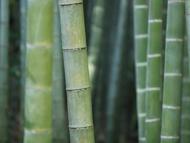 Logitech MX Master 3S + MX Keys (7000)