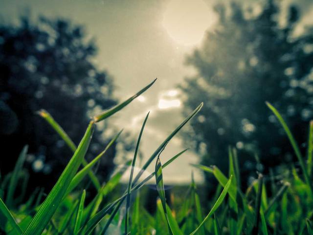 Kubota Minibagger KX61-3 - Lancy