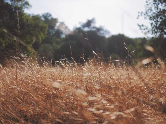 Einfamilienhaus Zug - Traumlage - Neuchâtel