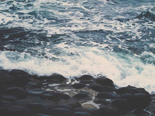 CalDigit TS4 Thunderbolt 4 Dock #338