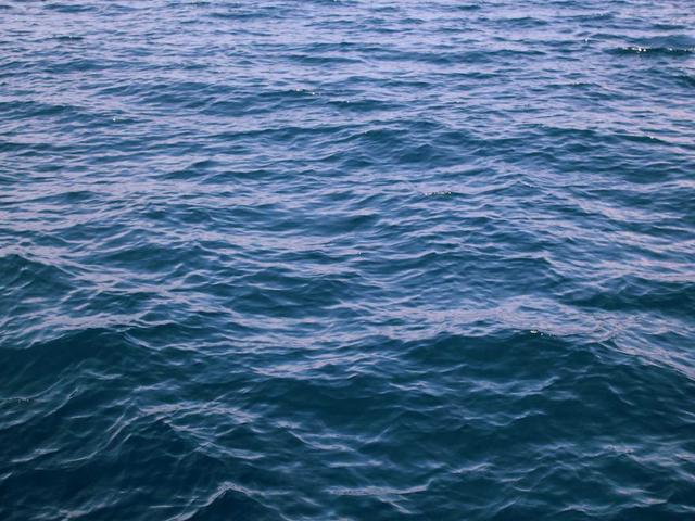 Medizin Lehrbücher Komplett-Set - Visp