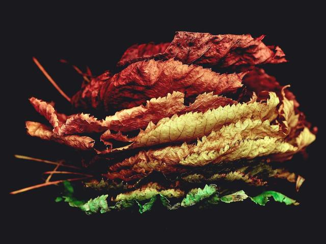 Neugeborenen-Set Bio-Baumwolle - Aarau