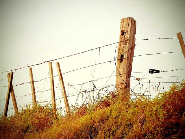 Senior Software Engineer - Zürich