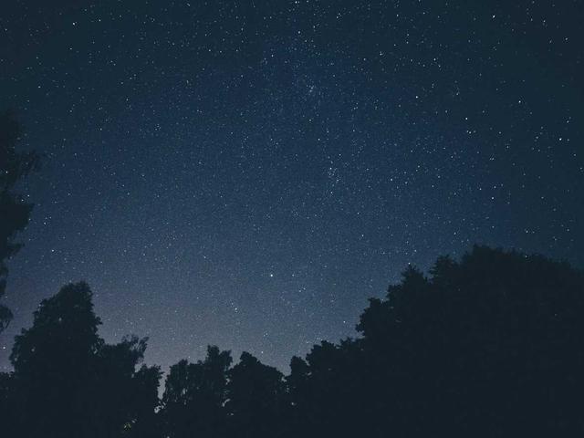 Escort Service Zürich - Premium (6500)