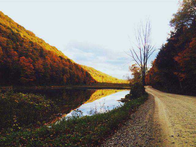 Erotische Dienstleistungen Bern - Altdorf