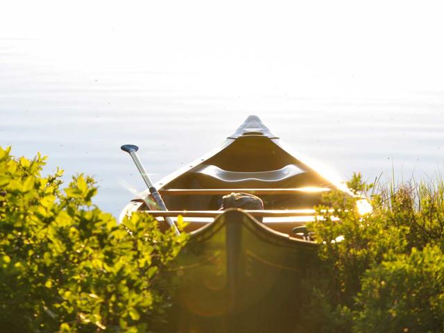 Escort Service Zürich - Premium #532