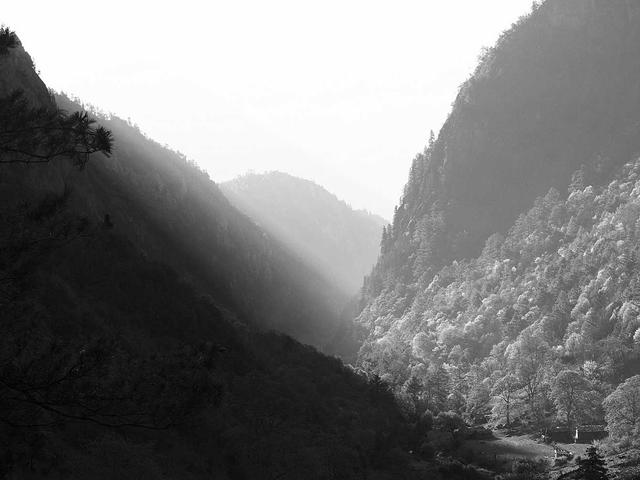 Erotik-Club Zürich - Neueröffnung #1612