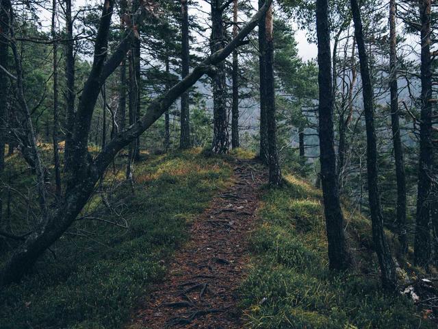 Escort Service Zürich - Premium #2684