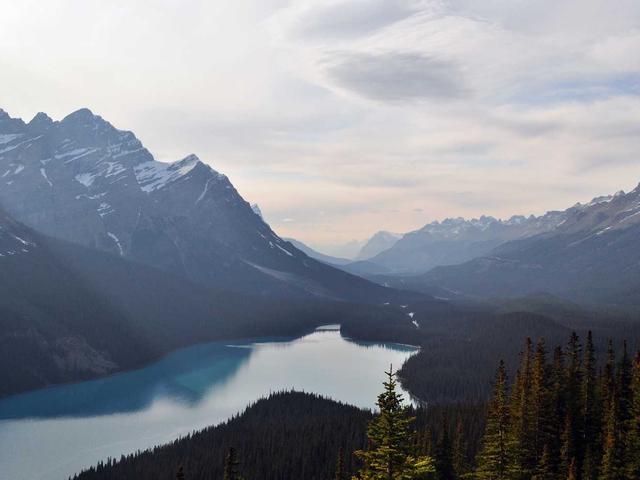 Manga Sammlung One Piece 1-100 (6340)